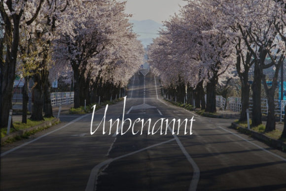 Unbenannt: A Superb Handwritten Font for Standout Design